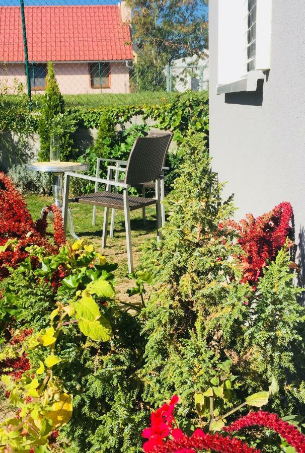 Apartman U Zamecke Dyje レドニツェ エクステリア 写真