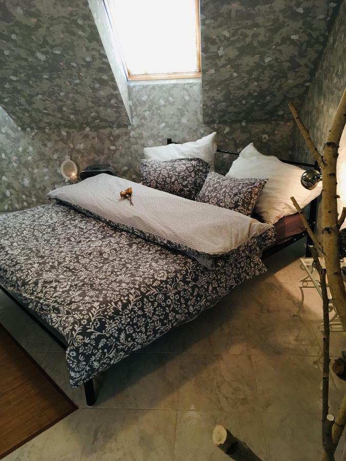 Apartman U Zamecke Dyje レドニツェ エクステリア 写真